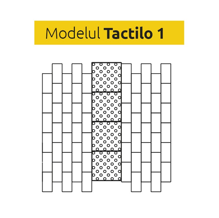 Model Tactilo 1