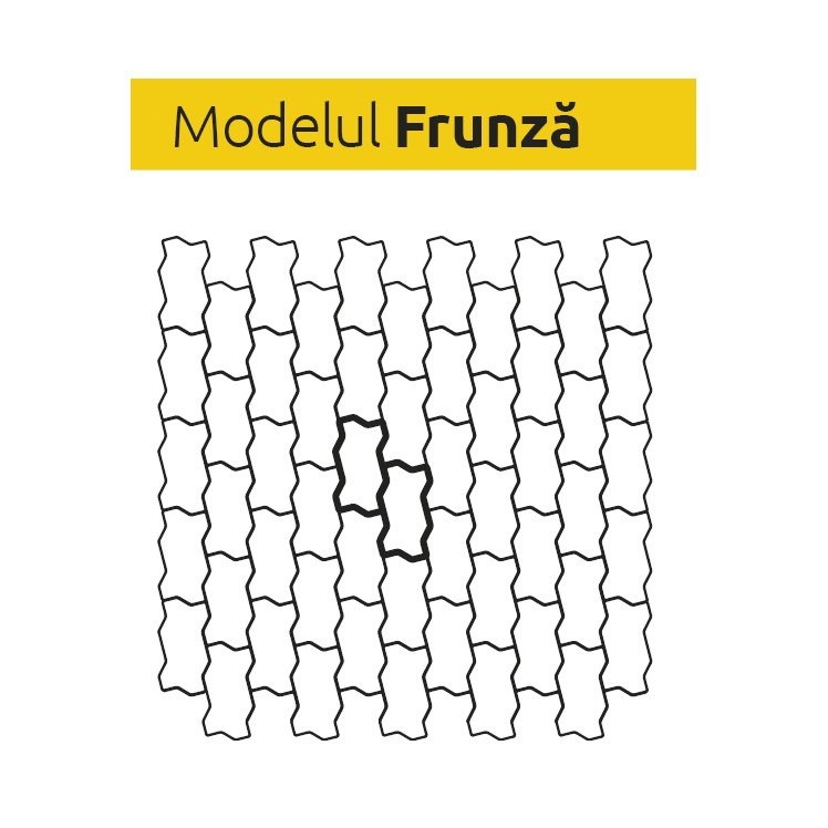 Model Frunza