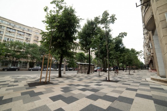 Bulevard Decebal, Bucuresti, pavele Umbra P4