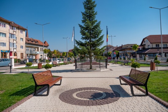 Parc Teius, pavele Maris, Bordura cilindrica, culori alb-crem, maro