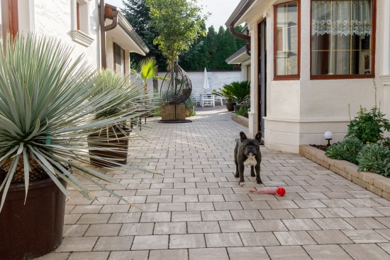 Acces curte si alei, pavele Anima P3, culoare cafe, Jardiniera Quadra, Zid din Elemente D6 Antico, culoare travertin