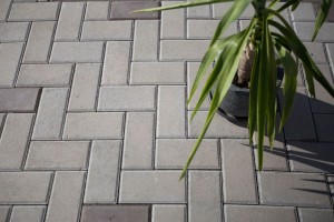 Dreptunghi D1