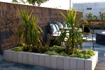 Produse pentru gradina - Palisada Rustic
