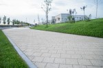 Pavele si Dale Premium - Umbra P3