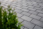 Pavele si Dale Standard - Dreptunghi D4