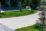 Pavele si Dale Premium - Maris Antico